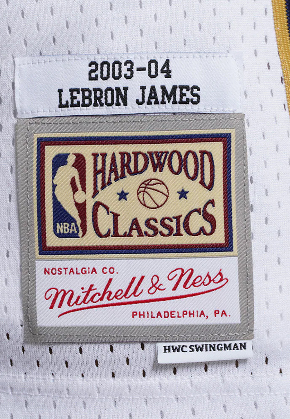 Swingman Jersey Cleveland Cavaliers Lebron James