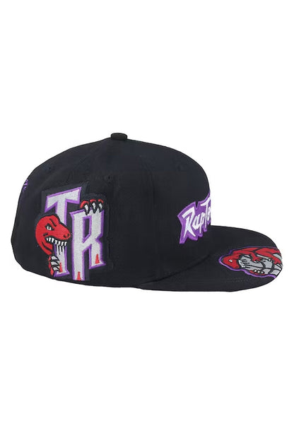 Landed Snapback Toronto Raptors