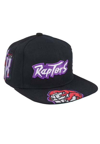 Landed Snapback Toronto Raptors