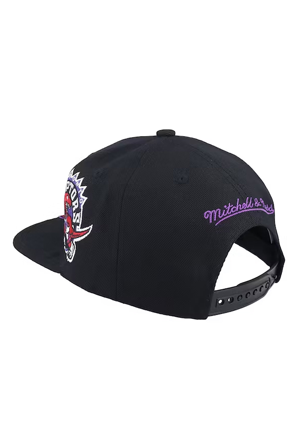 Landed Snapback Toronto Raptors