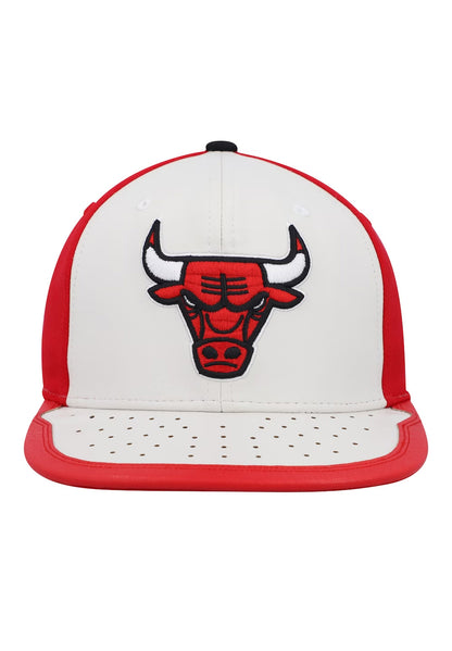 Day One Snapback Chicago Bulls