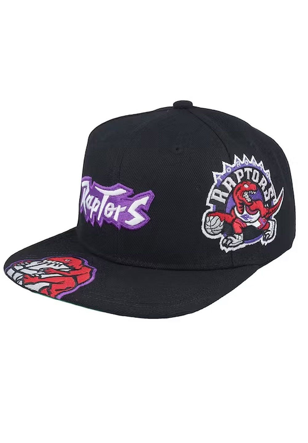 Landed Snapback Toronto Raptors